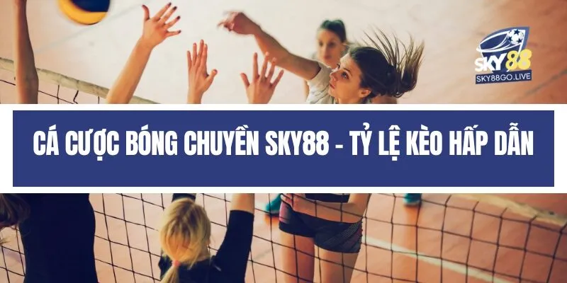 Cá cược bóng chuyền Sky88 - Tỷ lệ kèo hấp dẫn