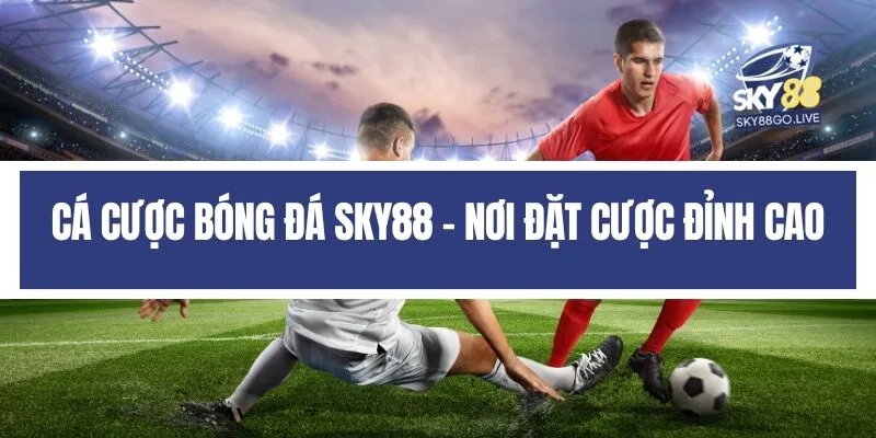 Cá cược bóng đá Sky88 - Nơi đặt cược đỉnh cao