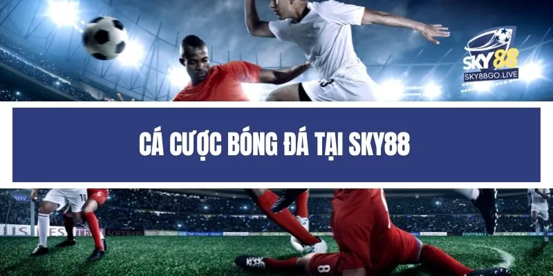 Cá cược bóng đá tại Sky88