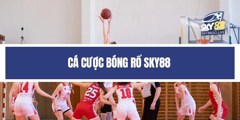 Cá cược bóng rổ Sky88