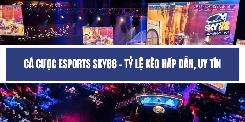 Cá cược Esports Sky88 - Tỷ lệ kèo hấp dẫn, uy tín