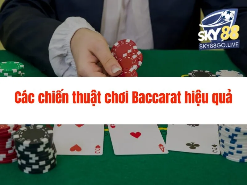 Live Baccarat Sky88: Hướng dẫn chơi và chiến thắng