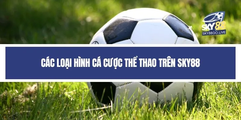 Các loại hình cá cược thể thao trên Sky88