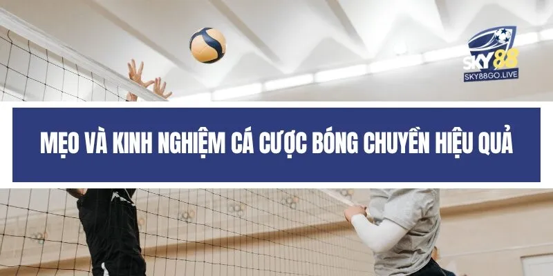 Mẹo và kinh nghiệm cá cược bóng chuyền hiệu quả