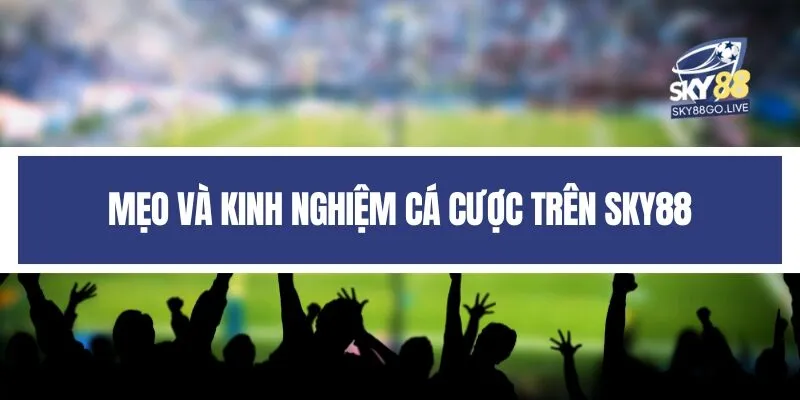 Mẹo và kinh nghiệm cá cược trên Sky88